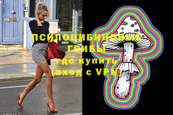 МДПВ Алексеевка