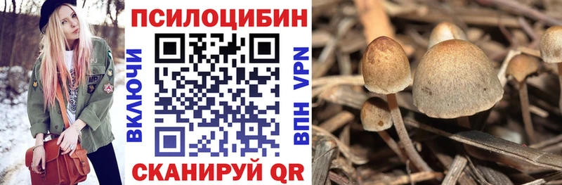 Галлюциногенные грибы GOLDEN TEACHER  закладки  Гусь-Хрустальный 
